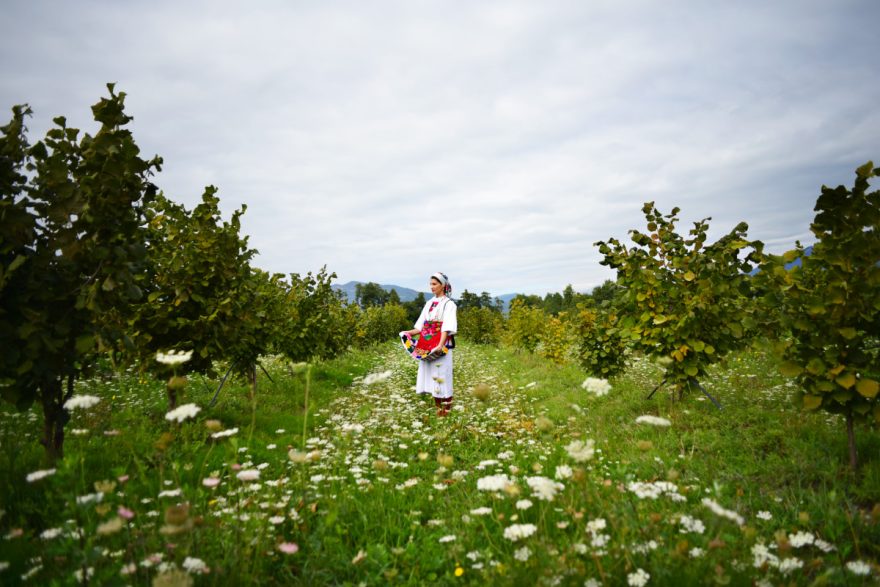 Junge Frau in Mazedonischer Tracht im Haselnusshain