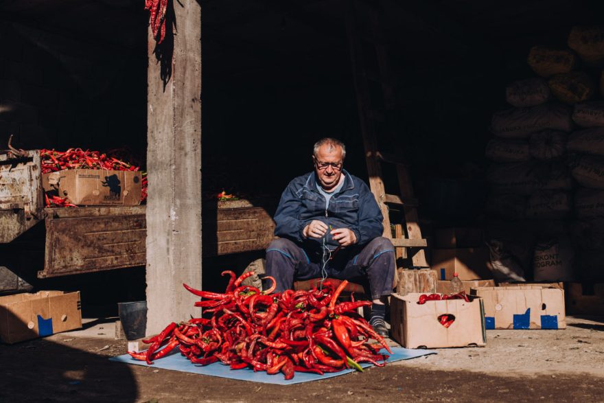 Paprika werden Stück für Stück händisch aufgefädelt
