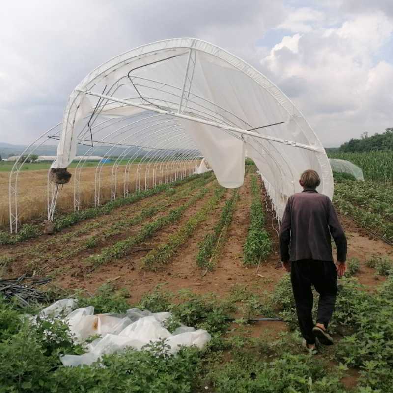 Durch Sturm zerstörtes Gewächshaus