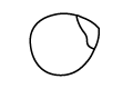 Icon Bio-Haselnüsse BioBalkan