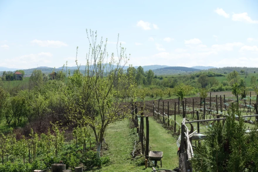 Landschaft und Garten bei Caricin Grad