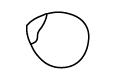 BioBalkan Icon Haselnuss