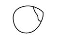 BioBalkan Icon Haselnuss
