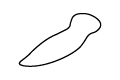 BioBalkan Icon Spitzpaprika