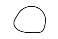 BioBalkan Icon Tomate